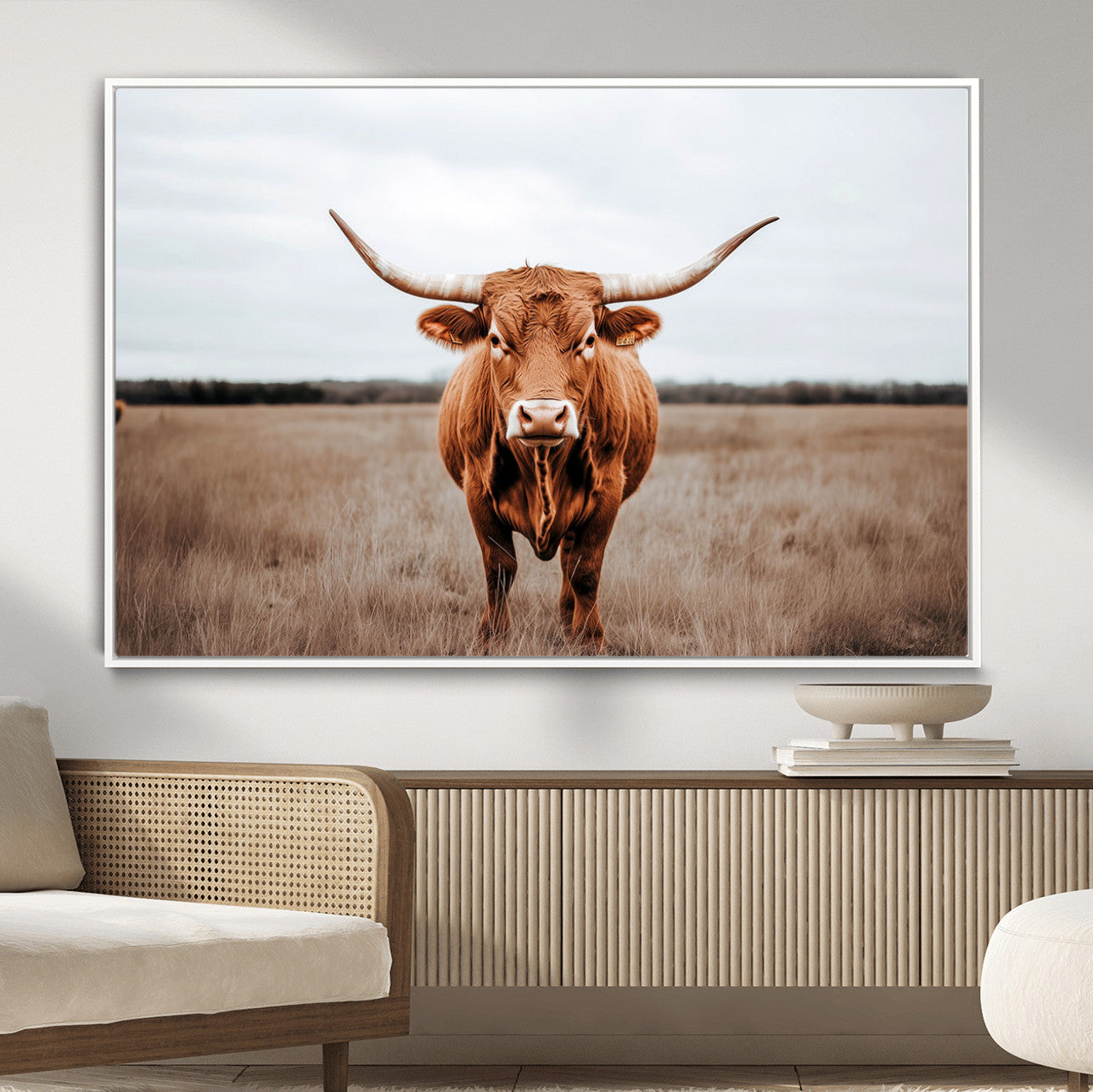16316734-MGV-FC-36X24 - Longhorn bull, open field, rustic charm, natural beauty, Wall Art Canvas Print, countryside,