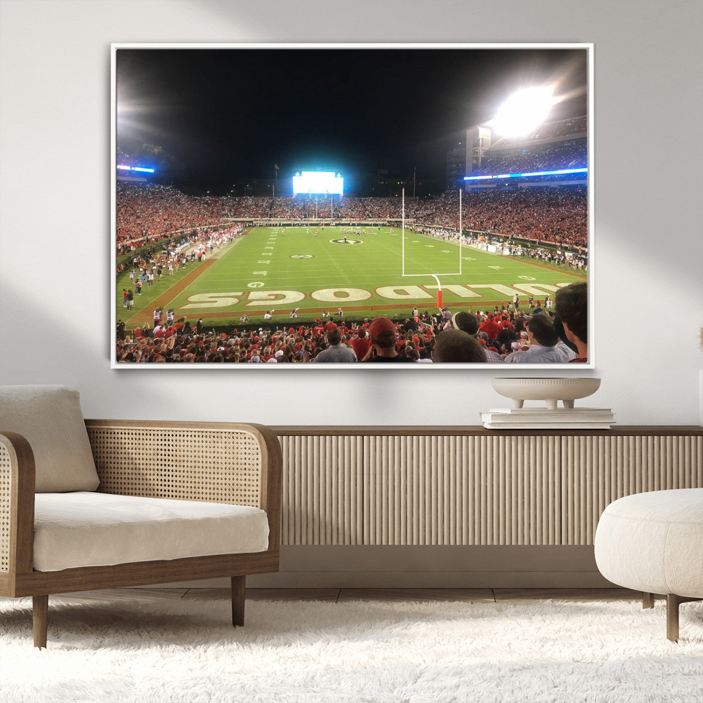 Dooley Stadium Wall Art Print, Sports Arena Canvas Wall Art, Panoramic Stadium Canvas Print, Modern Athletic Field Art Printing