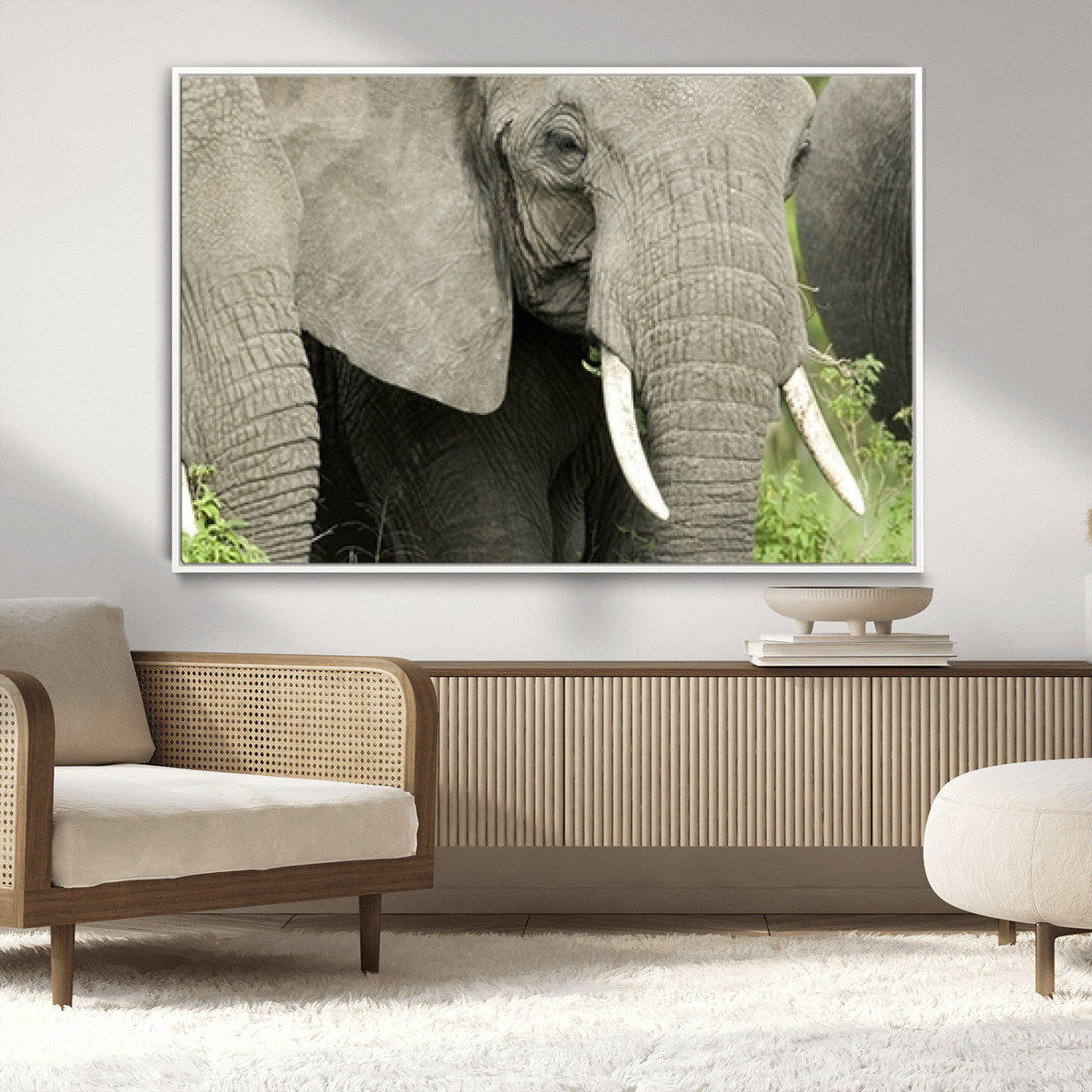 MGV-FC-36X24 - Wild Elephant Wall Art Canvas Print