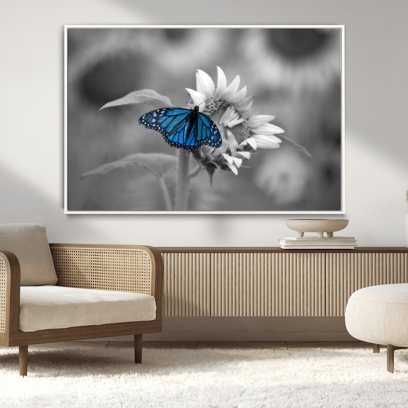 MGV-FC-36X24 - Blue Butterfly Black and White Canvas Wall Art