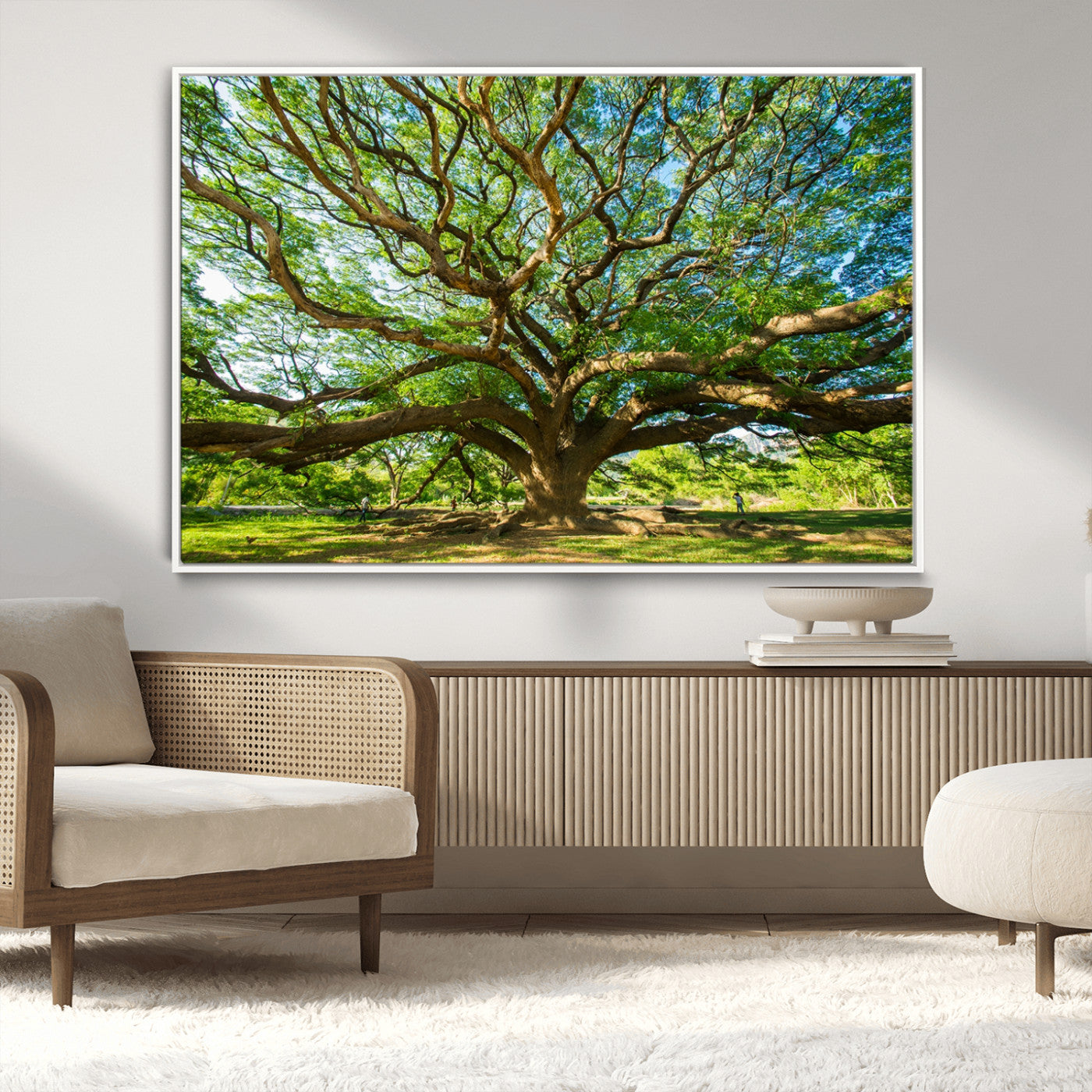 MGV-FC-36X24 - Angel Oak Tree Wall Art | Oak Canvas Print | Multi Panel Landscape Wall Art | Ready to Hang Wall Art