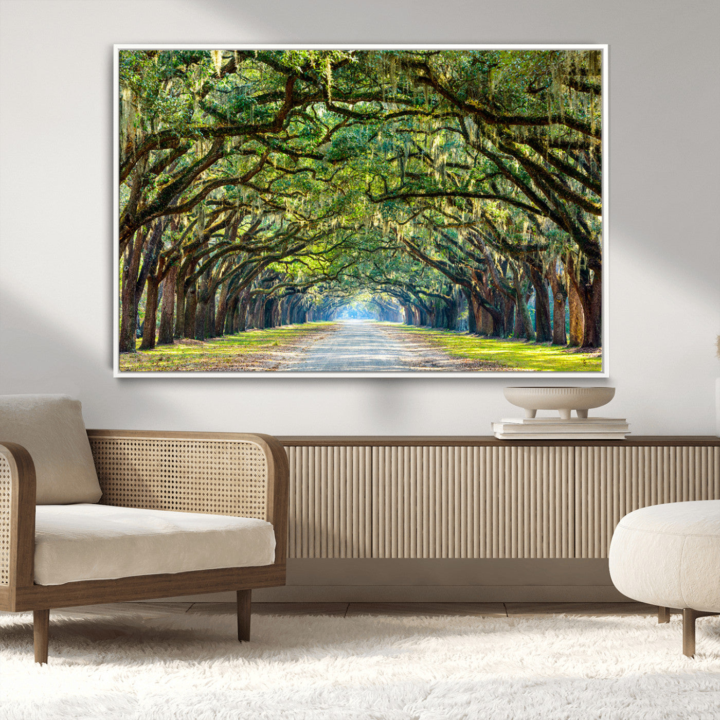 MGV-FC-36X24 - Wormsloe State Plantation Driveway Wall Art Canvas Print