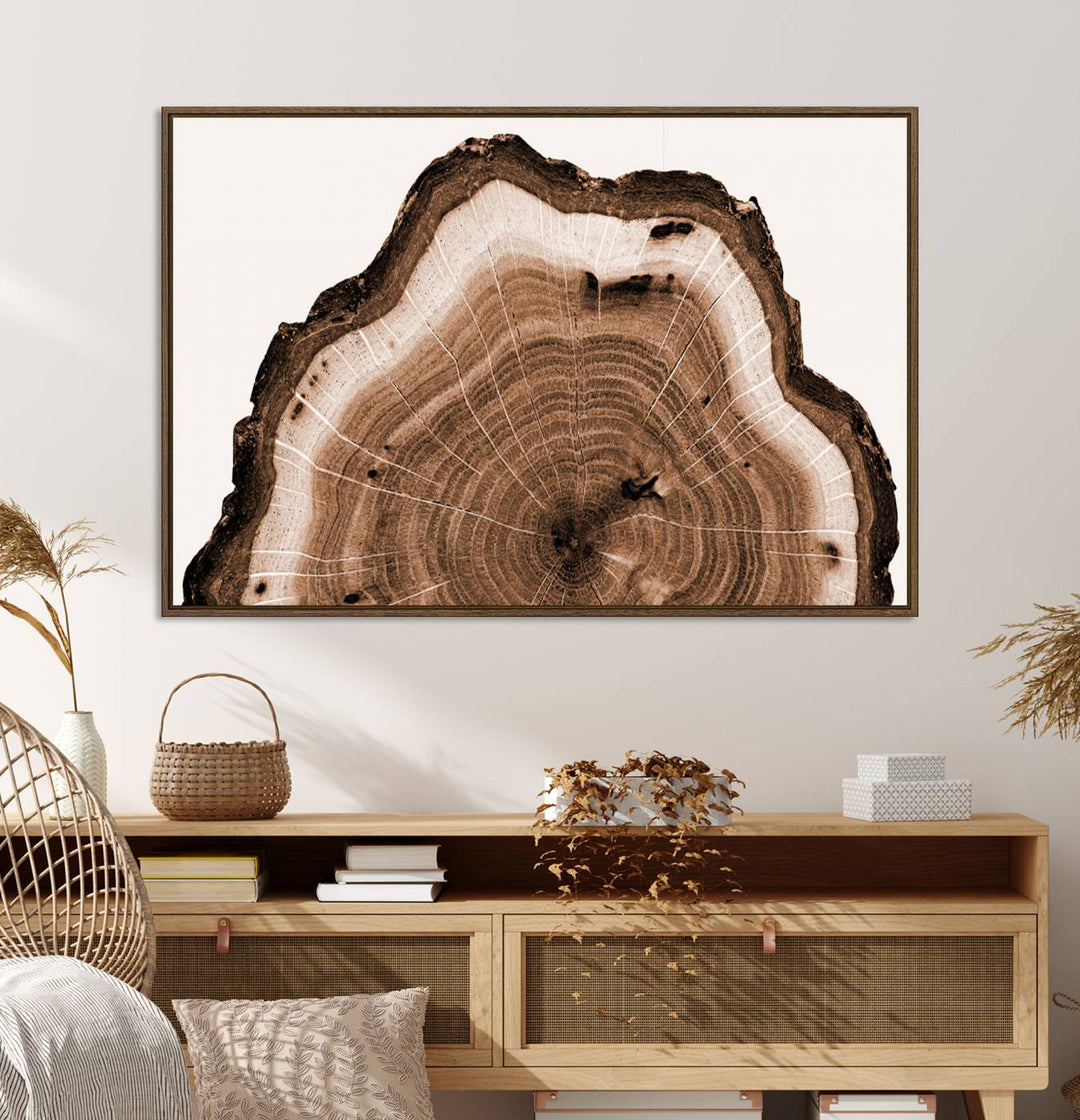 Close-up of the Rustic Wood Rings Wall Art featuring detailed tree rings and natural texture on a plain white background.