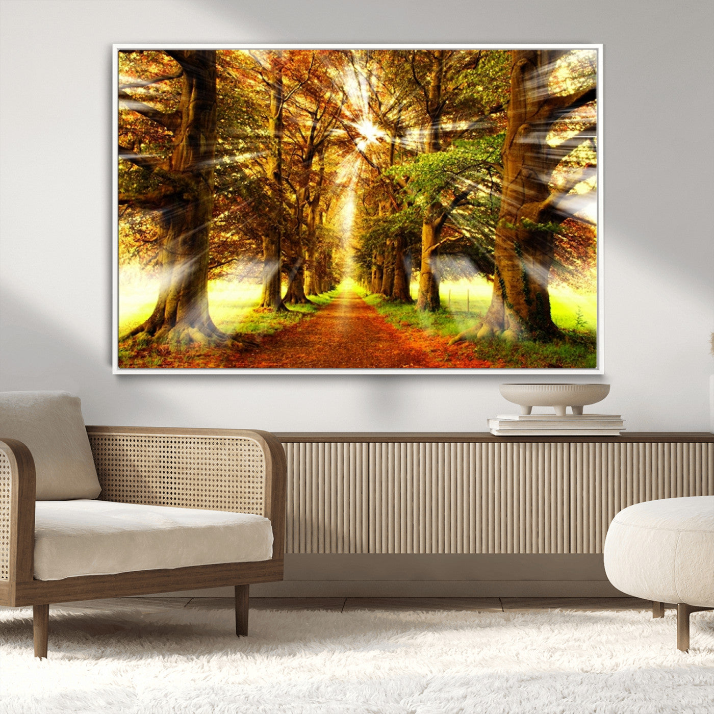 50243-MGV-FC-36X24_White-Sunshine in Forest and Trees Wall Art Canvas Print
