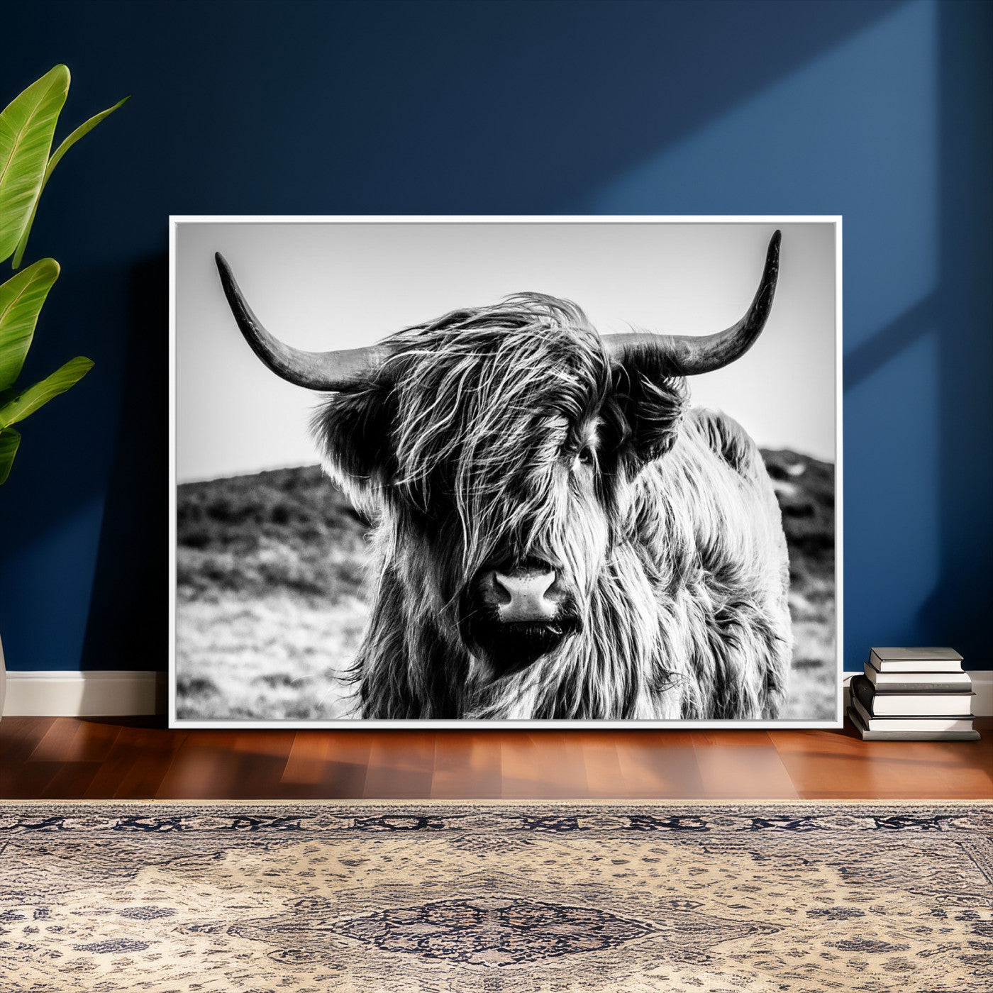 54309-MGV-CV-36X24 - Black and White Scottish Cow Canvas Wall Art Highland Cattle Canvas Print Framed Ready to Hang Original Cotton Canvas High Quality Image Multi Panel Wall Art Printable Artwork for Walls