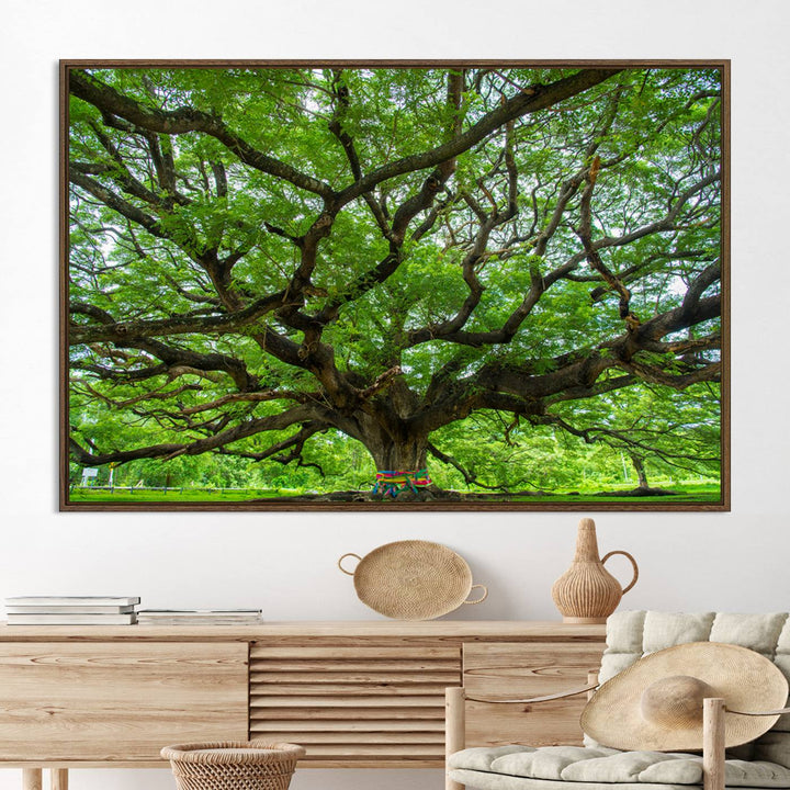Oak Tree Wall Art Print, Forest Canvas Wall Art for Home and Office, Framed Angel Oak Tree Canvas Art Printing