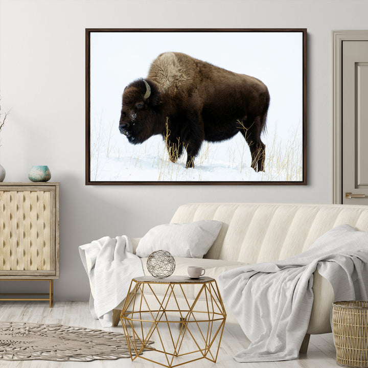 Bison Photography Wall Art Canvas Print, Framed Western Wildlife Art Picture Print, Buffalo On Snow Perfect Western Decor Artwork