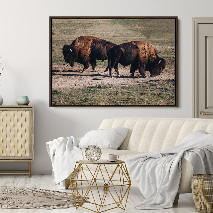 Bison Photography Wall Art Canvas Print, Framed Western Wildlife Art Picture Print, Modern Ranch Perfect Western Rustic Decor Artwork
