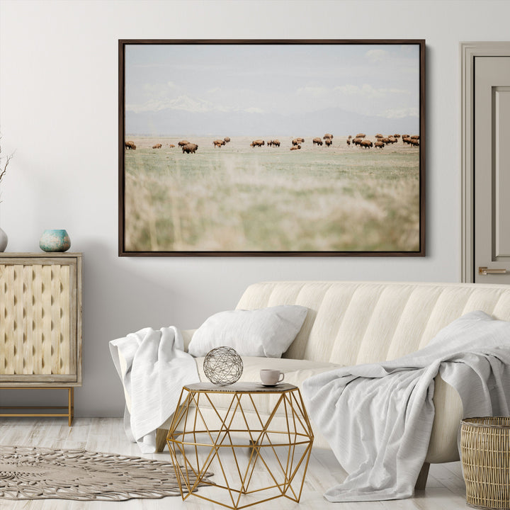 Bison Herd Wall Art Canvas Print, Framed Western Art Picture Print, Bison Perfect Ranch Decor Artwork