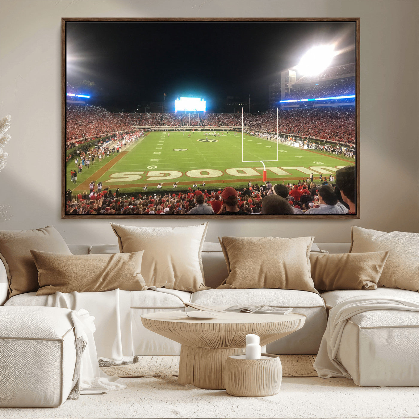 Dooley Stadium Wall Art Print, Sports Arena Canvas Wall Art, Panoramic Stadium Canvas Print, Modern Athletic Field Art Printing