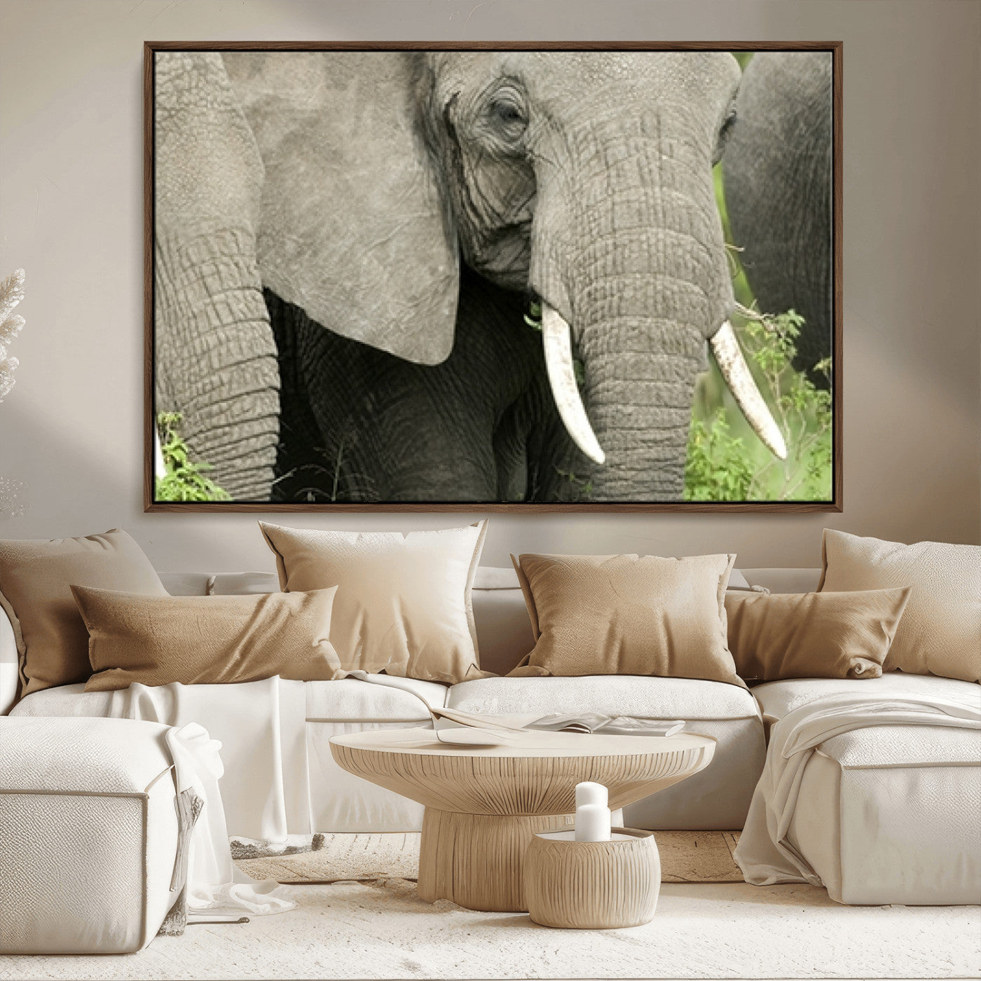 MGV-FC-36X24 - Wild Elephant Wall Art Canvas Print