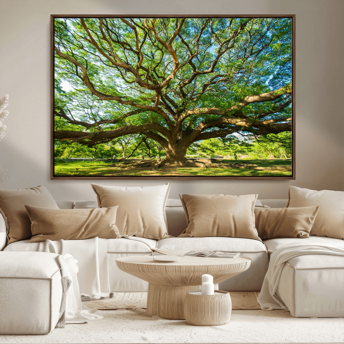 MGV-FC-36X24 - Angel Oak Tree Wall Art | Oak Canvas Print | Multi Panel Landscape Wall Art | Ready to Hang Wall Art