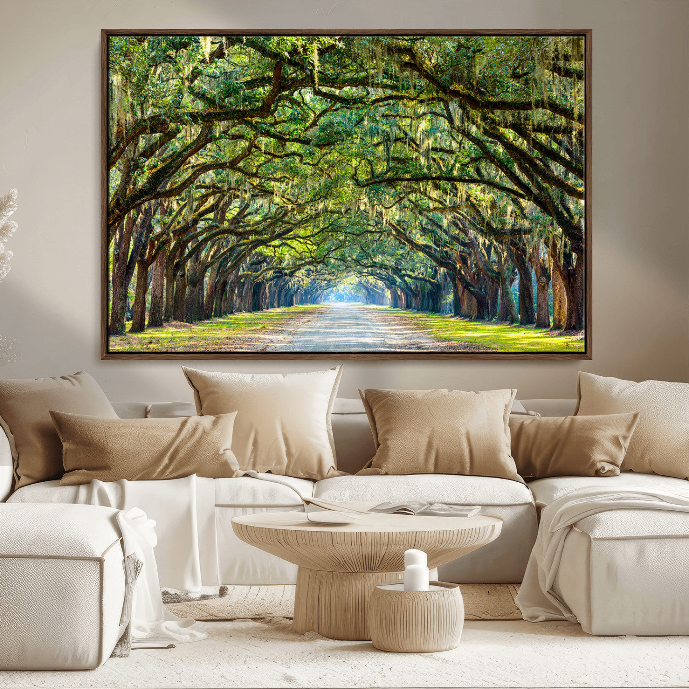 MGV-FC-36X24 - Wormsloe State Plantation Driveway Wall Art Canvas Print