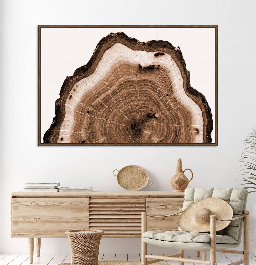 Close-up of the Rustic Wood Rings Wall Art featuring detailed tree rings and natural texture on a plain white background.