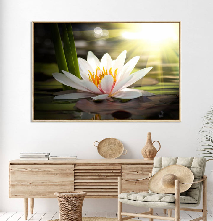 The Lotus Flower Wall Art Canvas Print showcases a white water lily with a yellow center floating gracefully in sunlight.