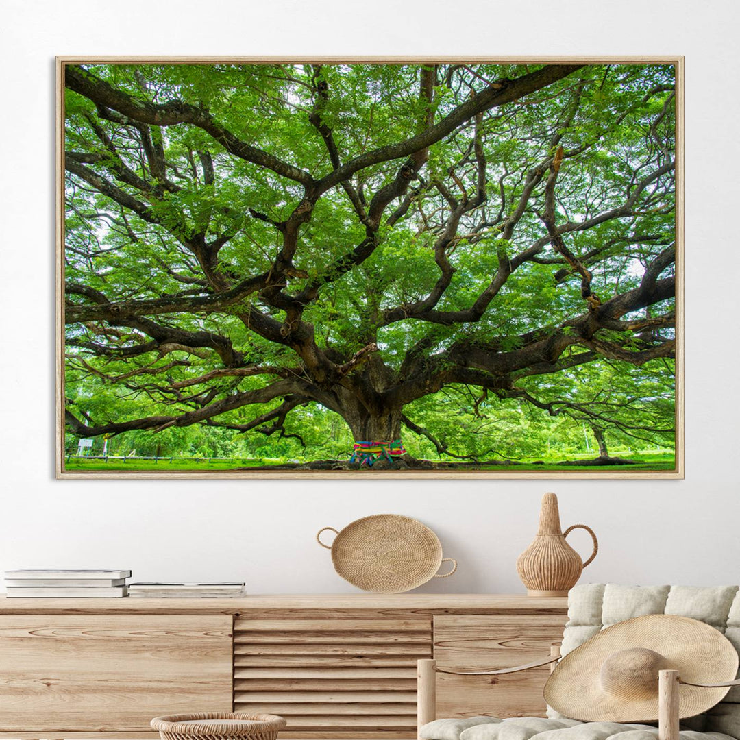 Oak Tree Wall Art Print, Forest Canvas Wall Art for Home and Office, Framed Angel Oak Tree Canvas Art Printing