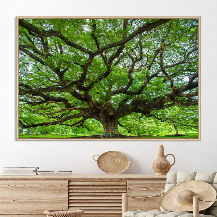 Oak Tree Wall Art Print, Forest Canvas Wall Art for Home and Office, Framed Angel Oak Tree Canvas Art Printing