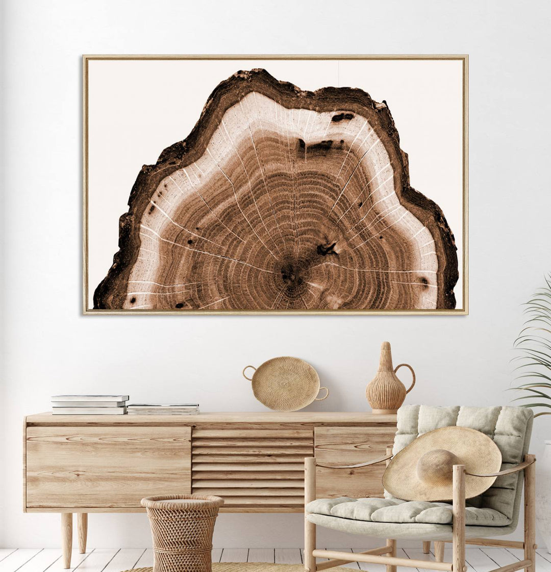 Close-up of the Rustic Wood Rings Wall Art featuring detailed tree rings and natural texture on a plain white background.