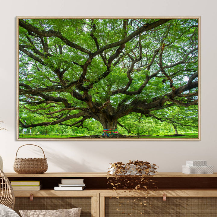 Oak Tree Wall Art Print, Forest Canvas Wall Art for Home and Office, Framed Angel Oak Tree Canvas Art Printing