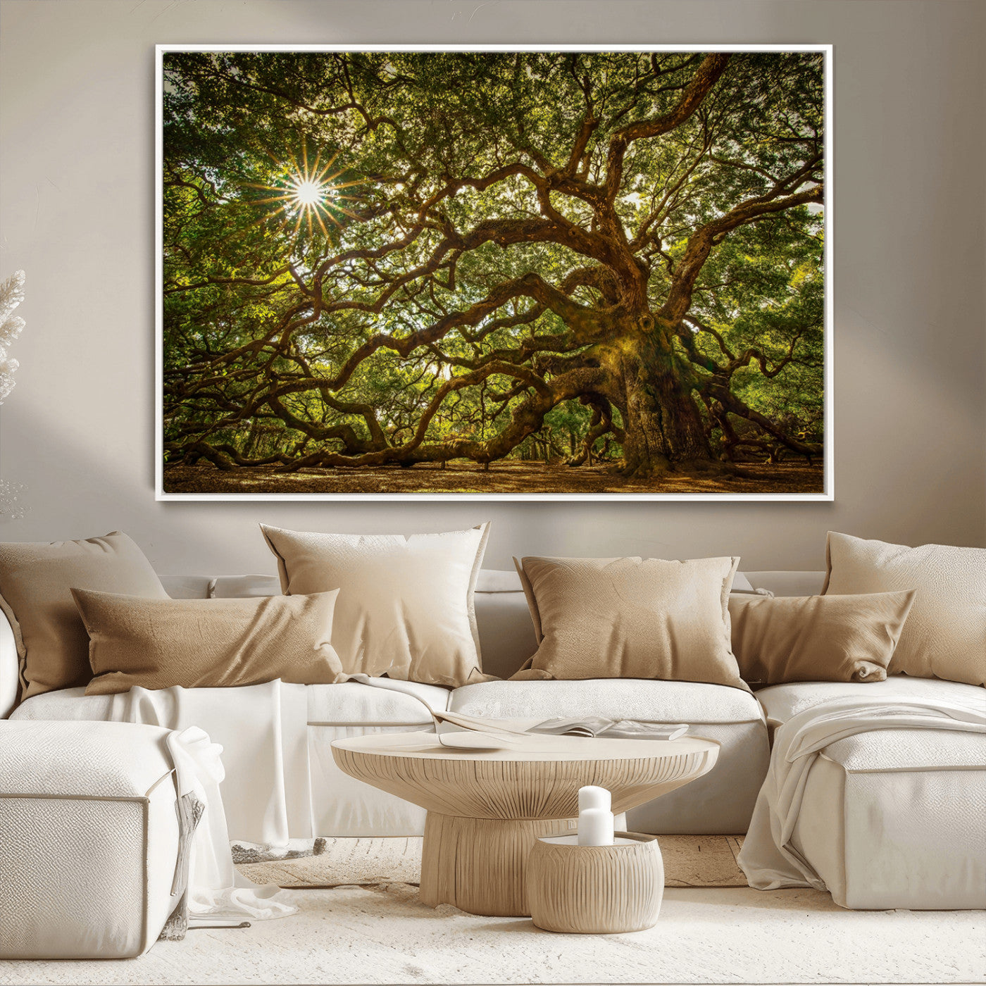 MGV-FC-36X24 - Ancient Angel Oak Tree Art Sunburst Canvas Print- Nature-Inspired Triptych Canvas Print, Framed, Ready to Hang