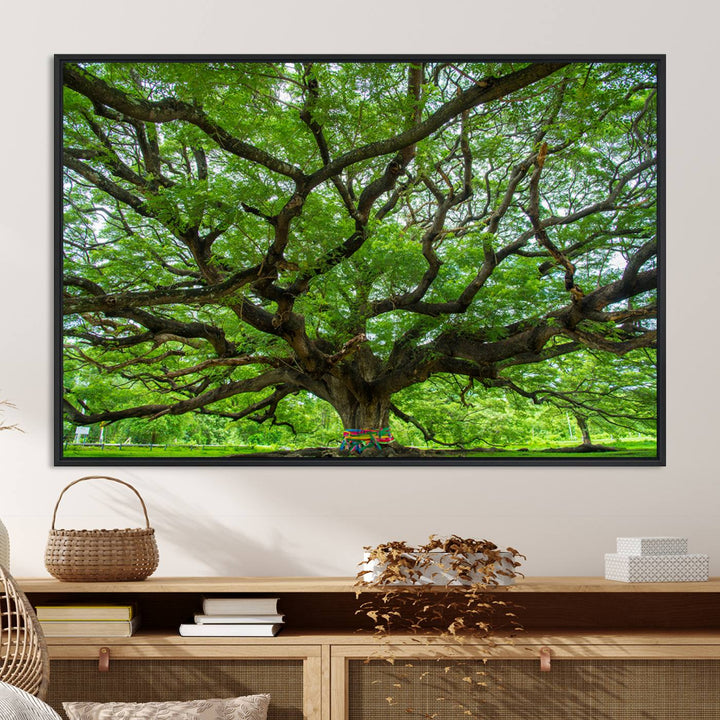 Oak Tree Wall Art Print, Forest Canvas Wall Art for Home and Office, Framed Angel Oak Tree Canvas Art Printing