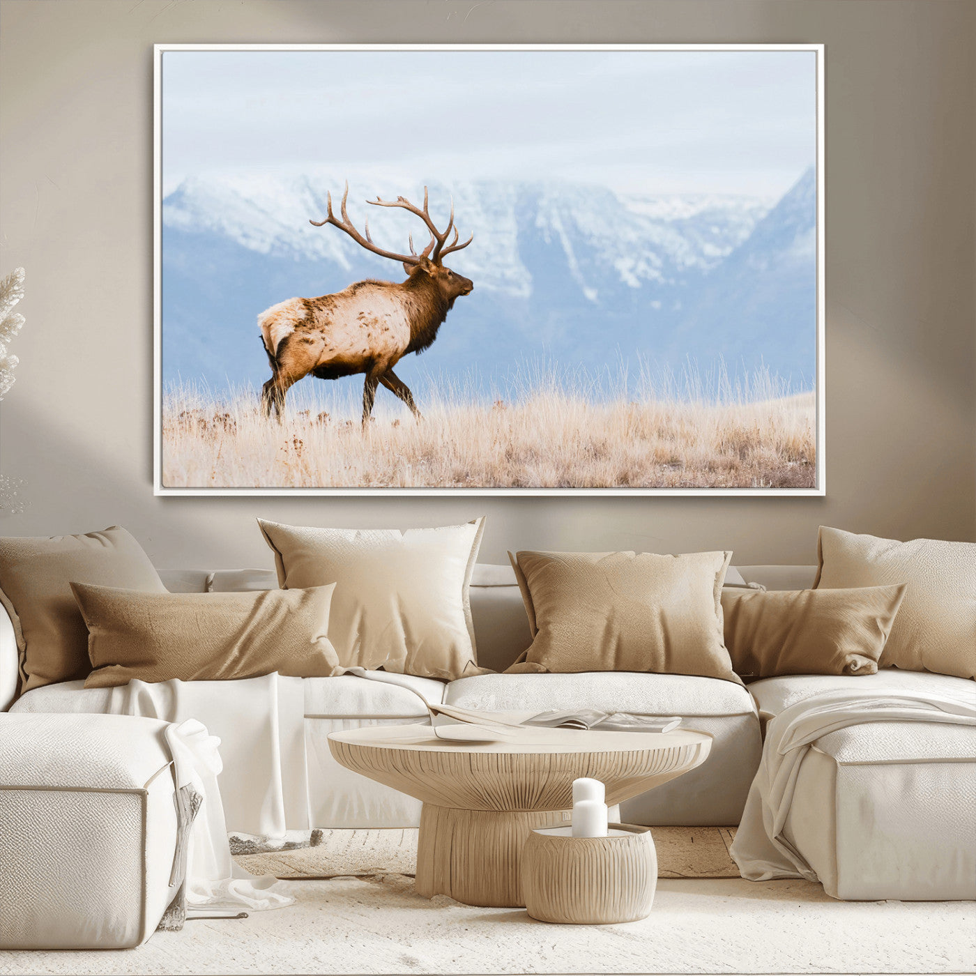 An elk walking on snowy grassland with majestic mountains in the background, ideal for rustic lodge or cabin wall decor.