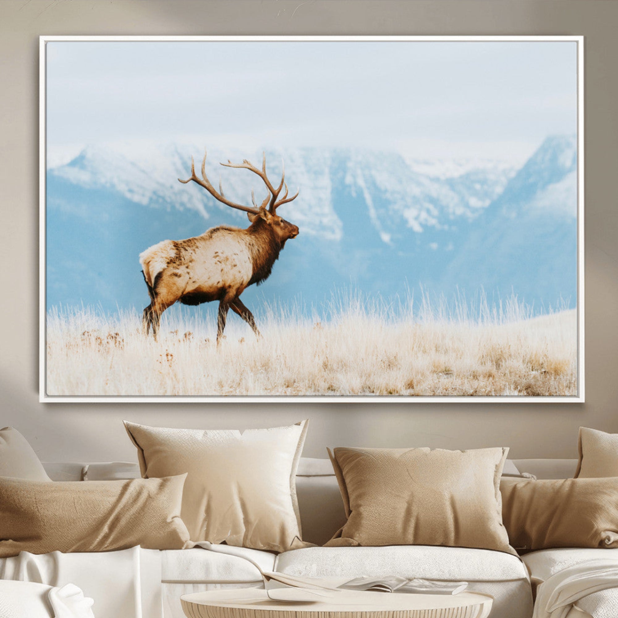 Majestic elk with antlers walking on golden grass, snowy mountains behind, perfect for rustic lodge or Scandinavian decor.