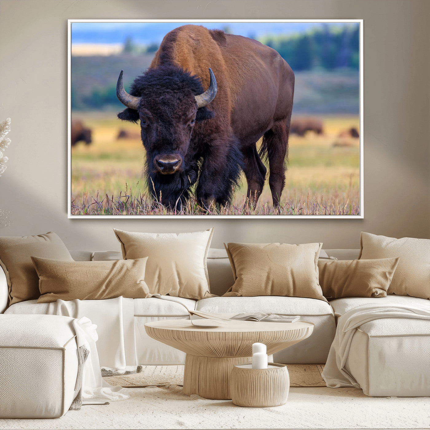 Close-up of a strong American bison standing in a grassy prairie with a blurred herd in background, perfect for rustic lodge decor.
