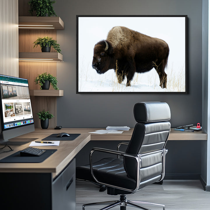 Bison Photography Wall Art Canvas Print, Framed Western Wildlife Art Picture Print, Buffalo On Snow Perfect Western Decor Artwork