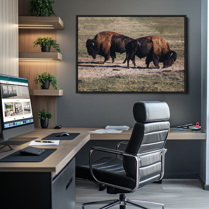 Bison Photography Wall Art Canvas Print, Framed Western Wildlife Art Picture Print, Modern Ranch Perfect Western Rustic Decor Artwork
