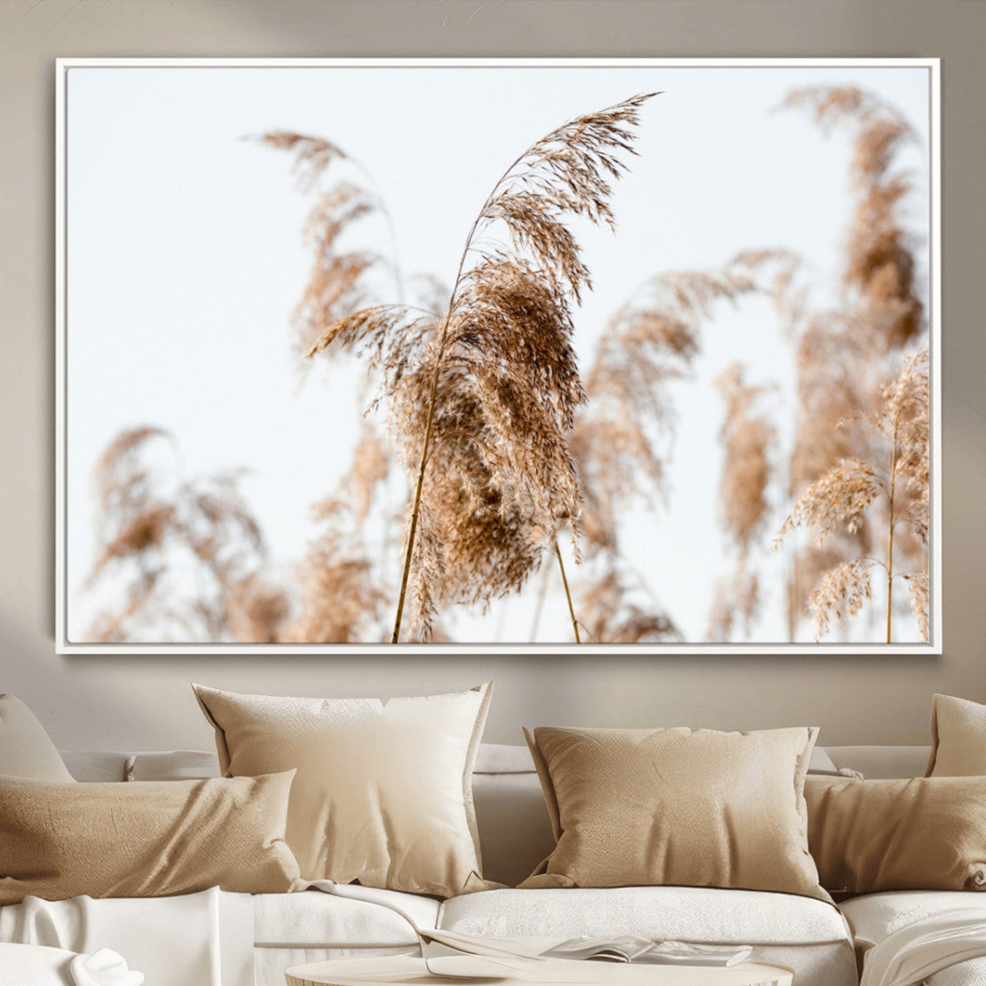 Close-up of pampas grass swaying in the wind against a soft white sky, creating a neutral and minimalist botanical aesthetic.