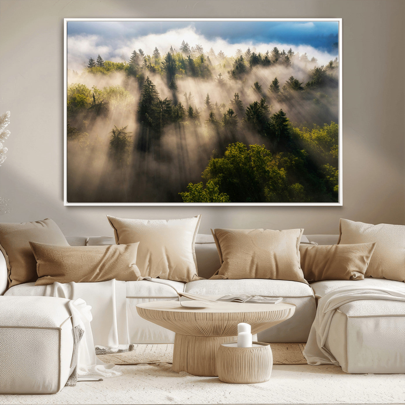 Sunlight streaming through misty pine trees in a lush green forest, creating a serene and atmospheric landscape, perfect for nature-inspired decor.