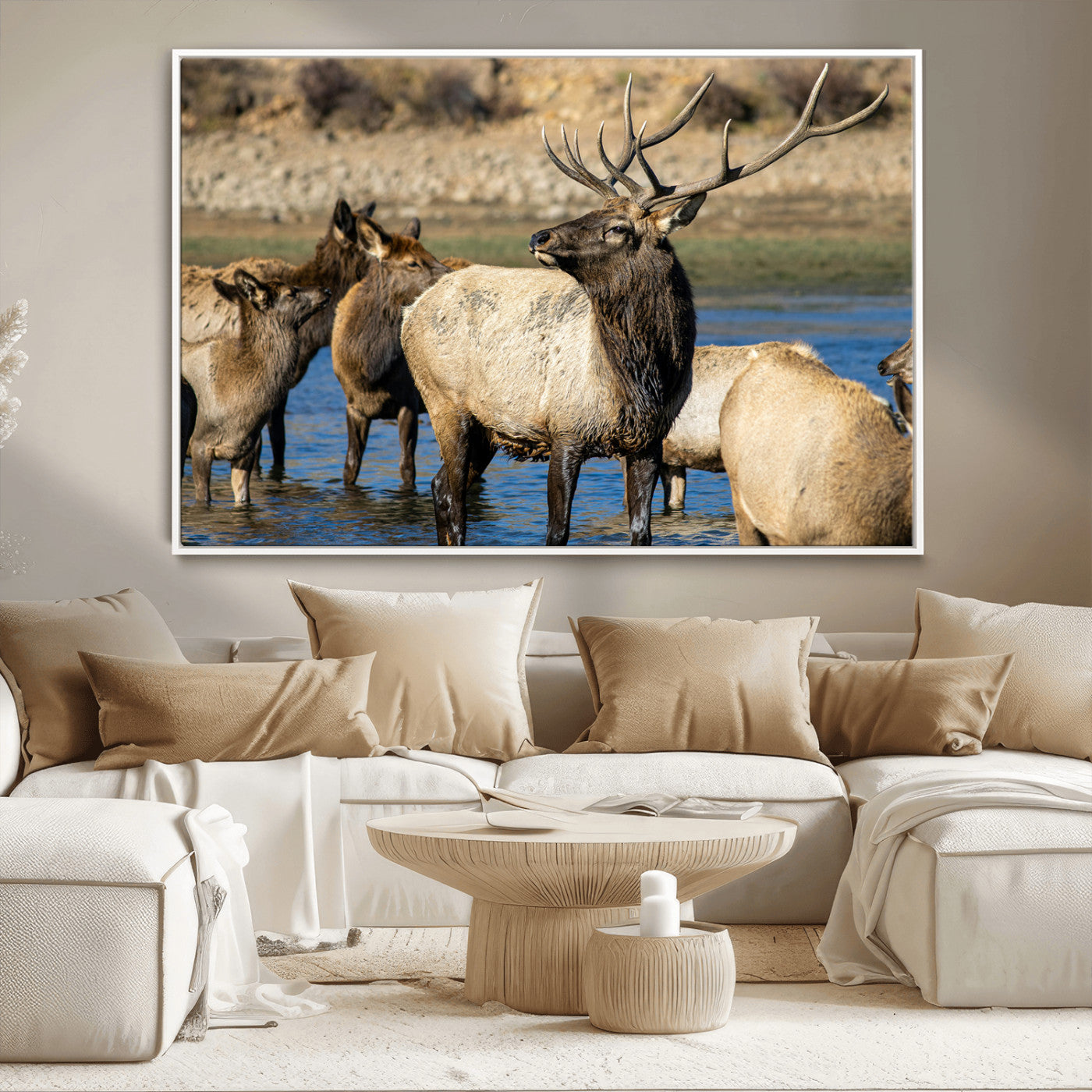 Group of elk standing in shallow water with dry rocky terrain in the background, showcasing wildlife in a natural setting for rustic decor.