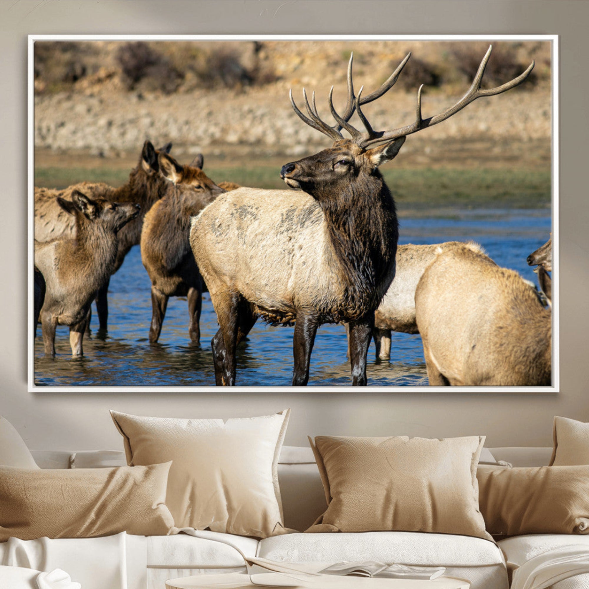 Group of elk standing in shallow water with dry rocky terrain in the background, showcasing wildlife in a natural setting for rustic decor.