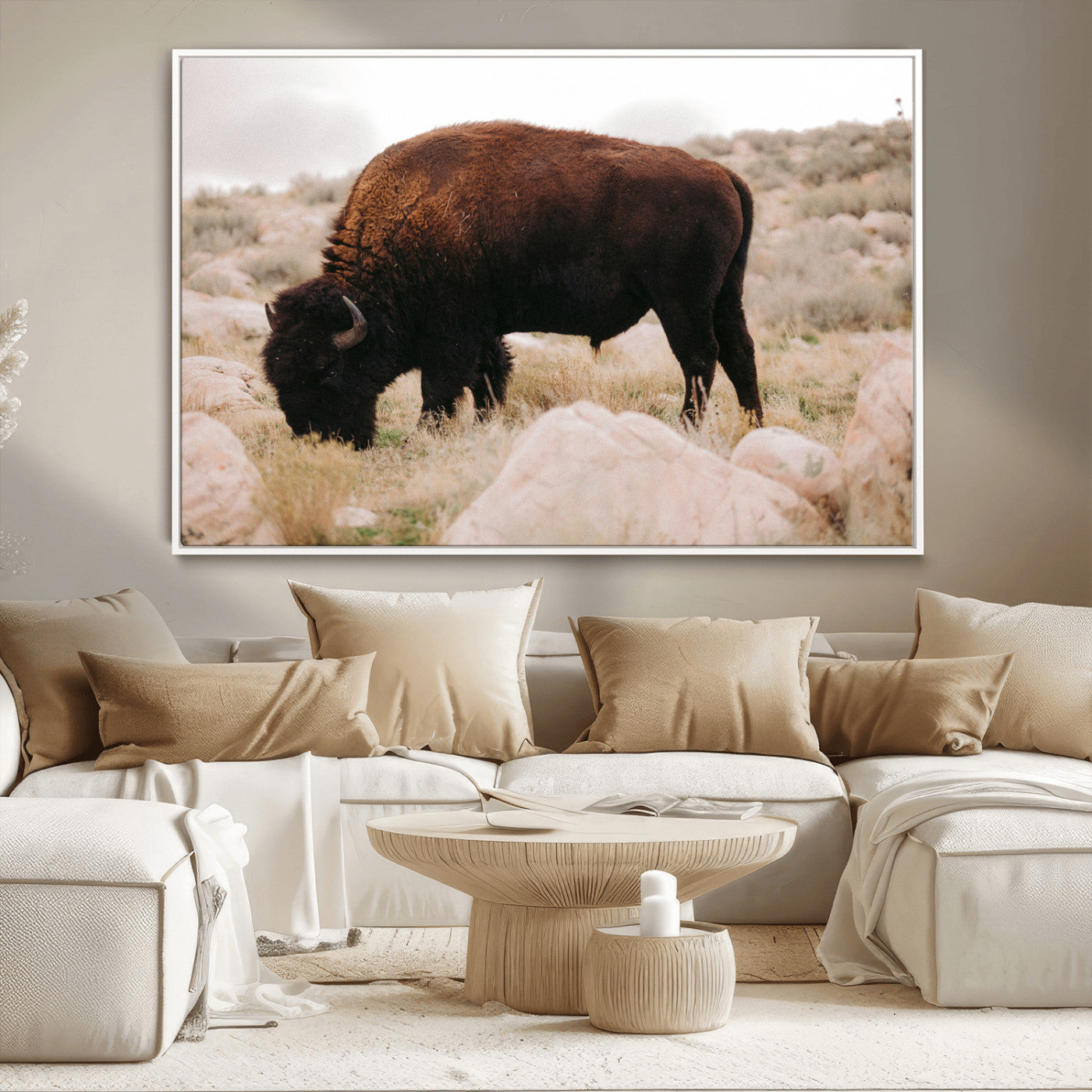A solitary bison grazing in a rugged prairie with earthy tones and scattered rocks, capturing the essence of the American West for rustic decor.