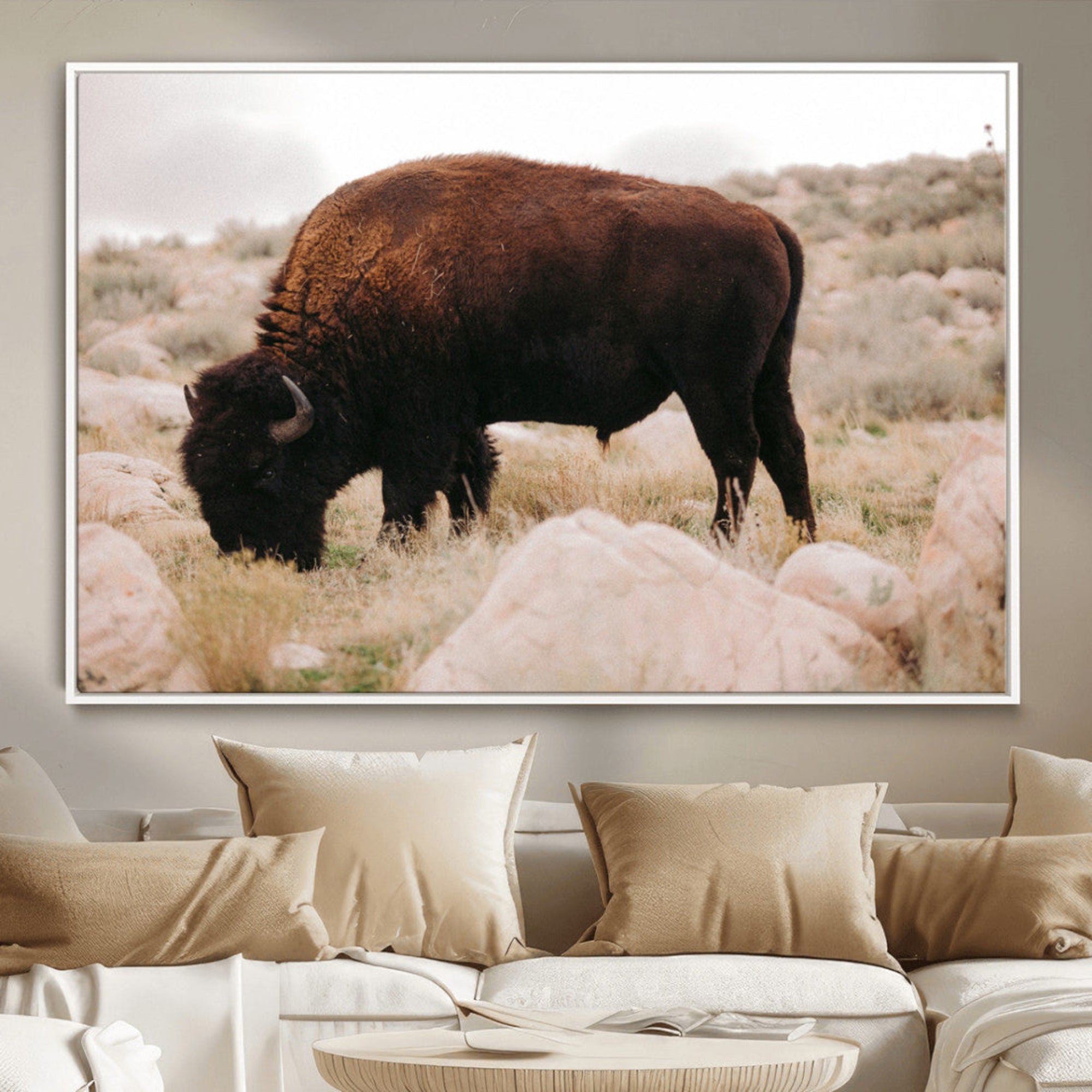 A solitary bison grazing in a rugged prairie with earthy tones and scattered rocks, capturing the essence of the American West for rustic decor.