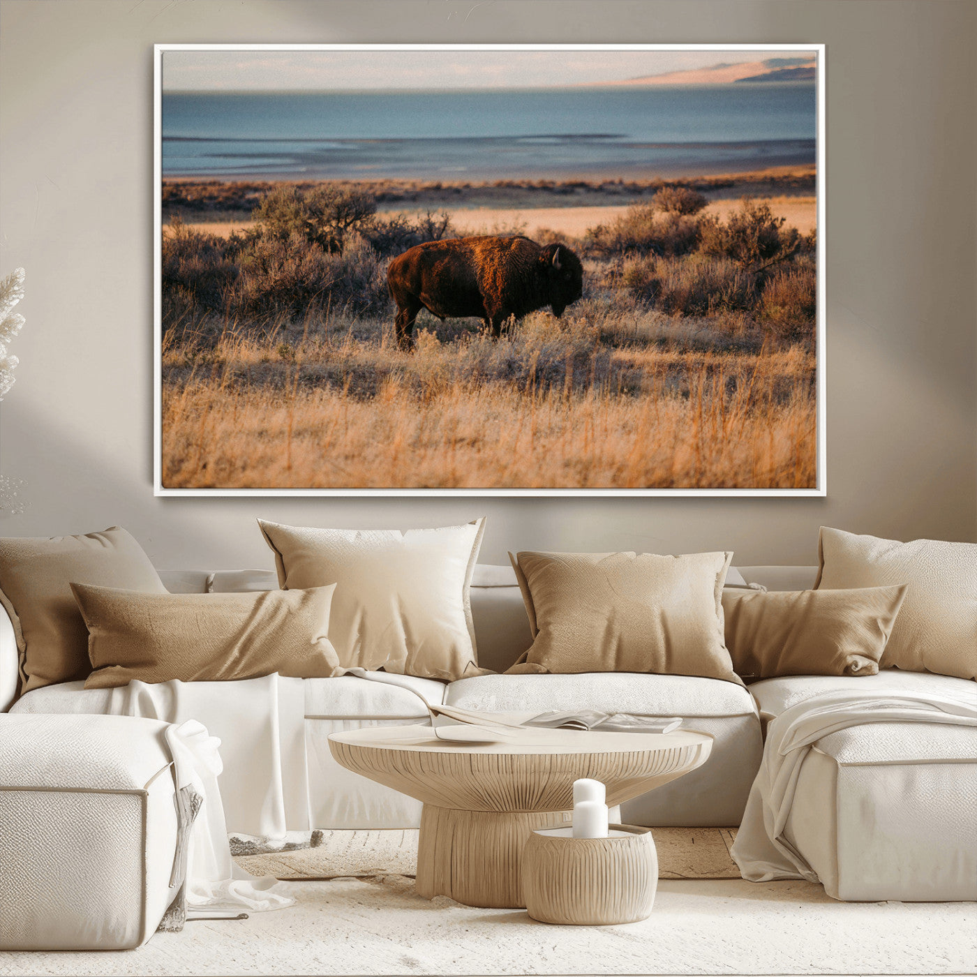 A lone bison grazing in golden prairie grass at sunset, with warm earthy tones and a distant lake view, perfect for rustic and western decor.