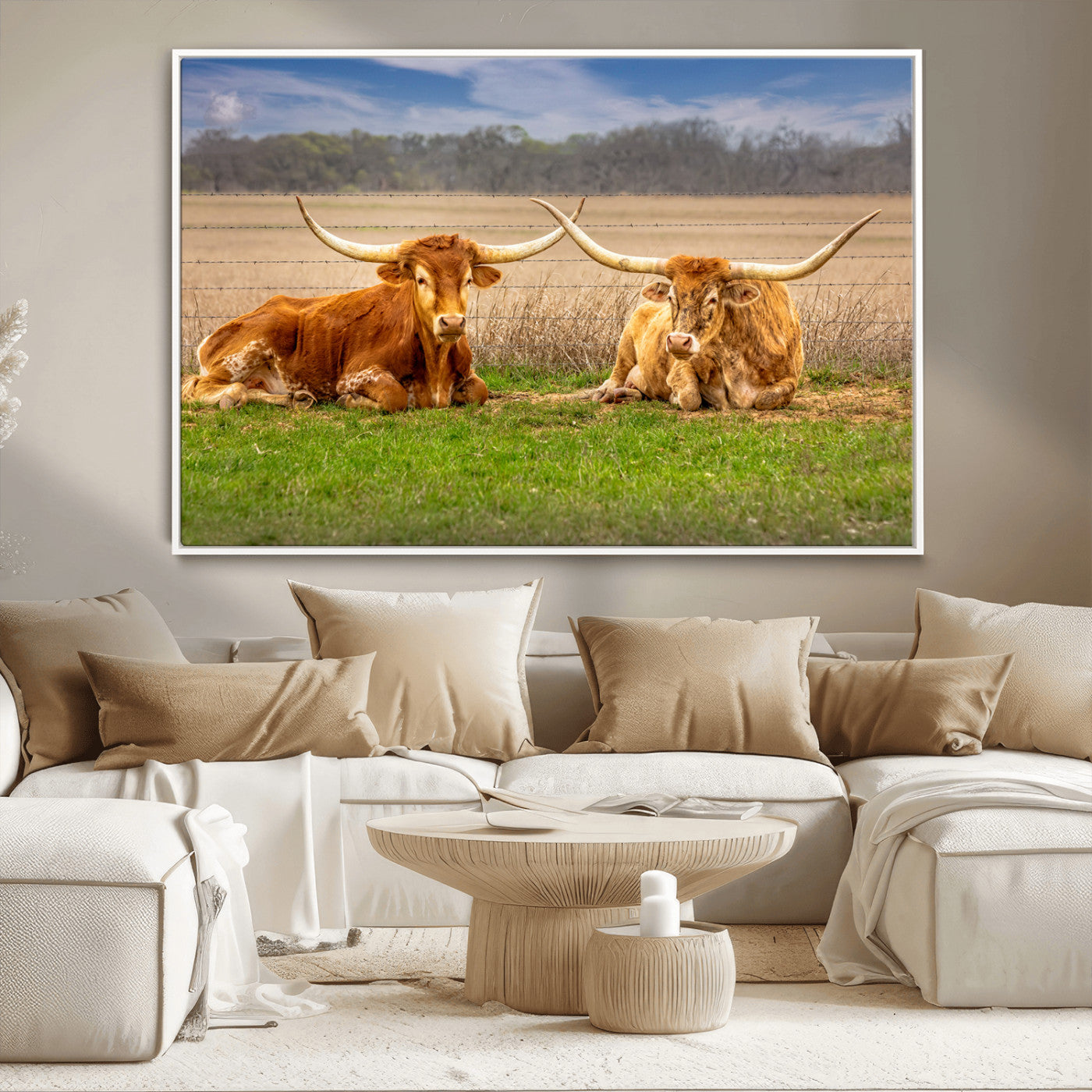 Two longhorn cattle resting on green grass in a rural field with a barbed wire fence and blurred trees in the background.