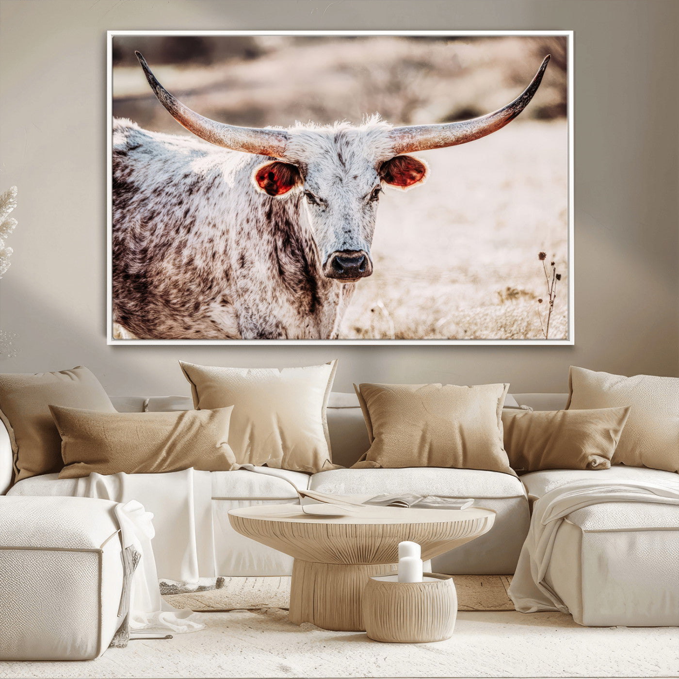 Close-up photograph of a white and brown speckled longhorn cow with very large, curved horns standing in a sunlit field with dry grass and blurred background.