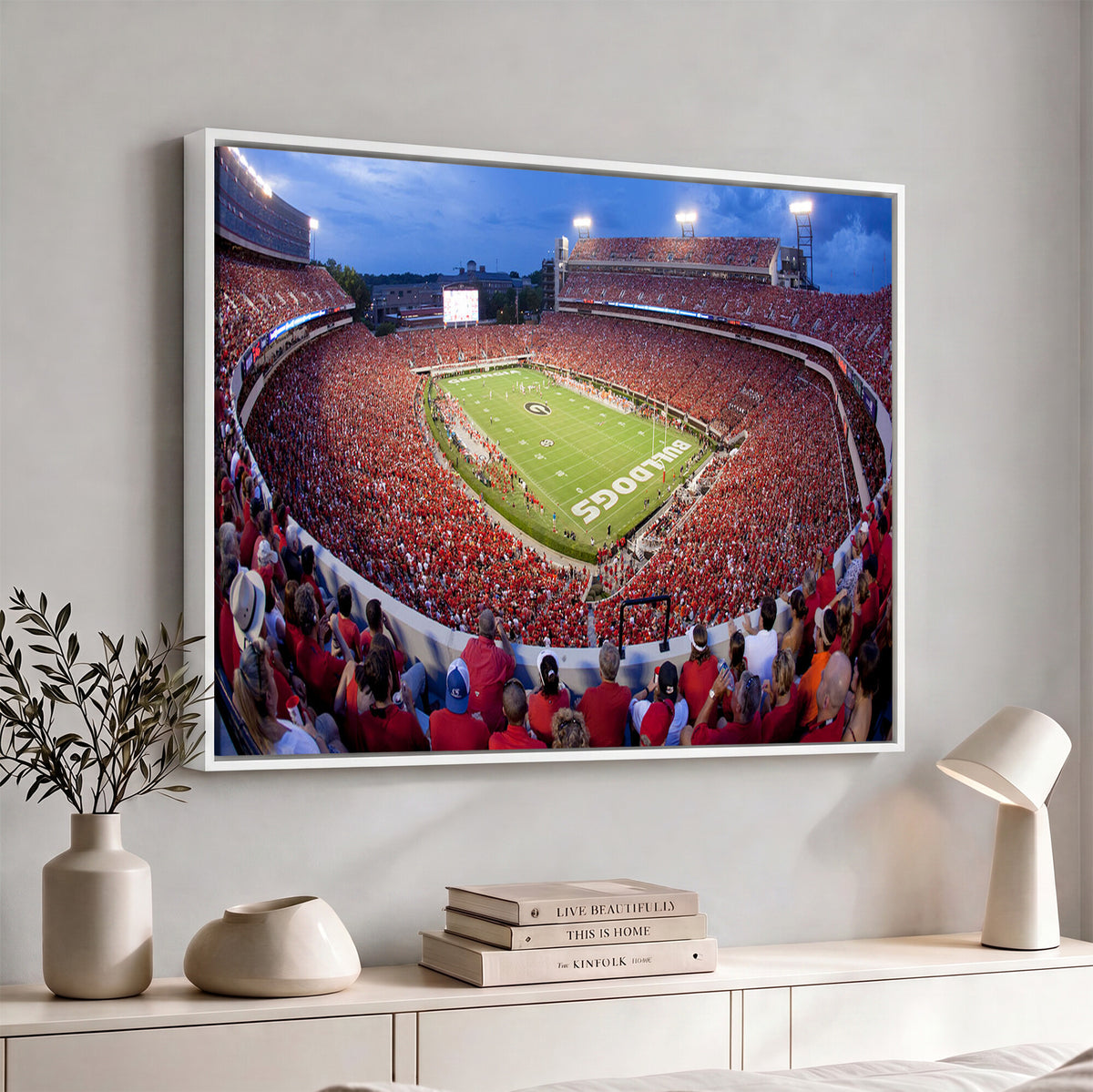 10244378-MGV-CV-36X24 - Dooley Stadium Wall Art, Sports Arena Canvas Print, Dooley Field, Home Bar Wall Decor