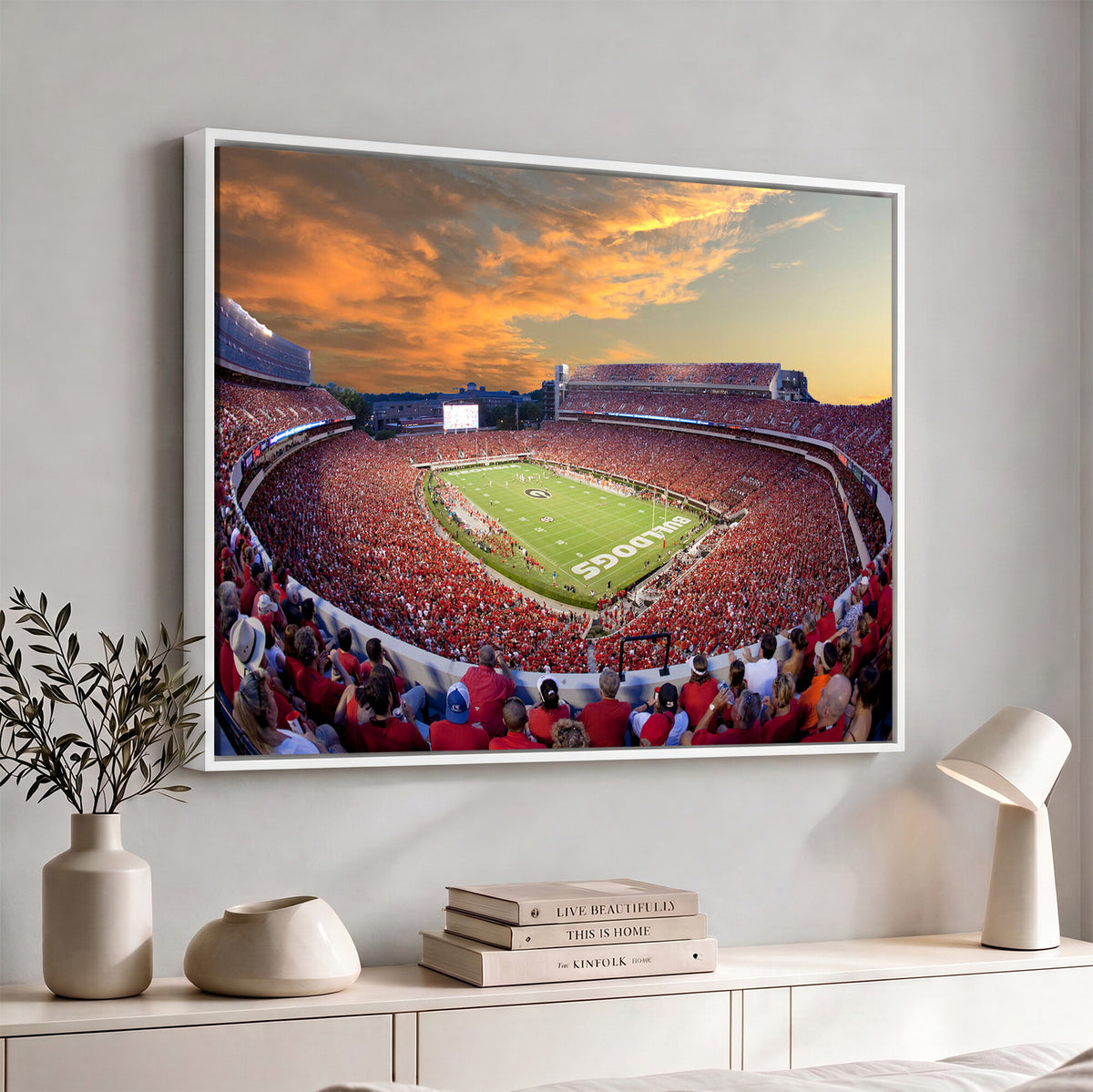 73680988-MGV-CV-36X24 - Dooley Stadium Wall Art, Sports Arena Canvas Print, Dooley Field, Framed and Ready to Hang