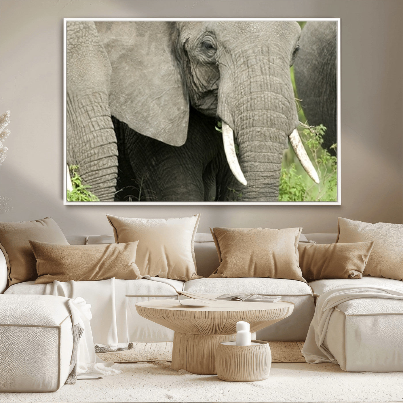 MGV-FC-36X24 - Wild Elephant Wall Art Canvas Print