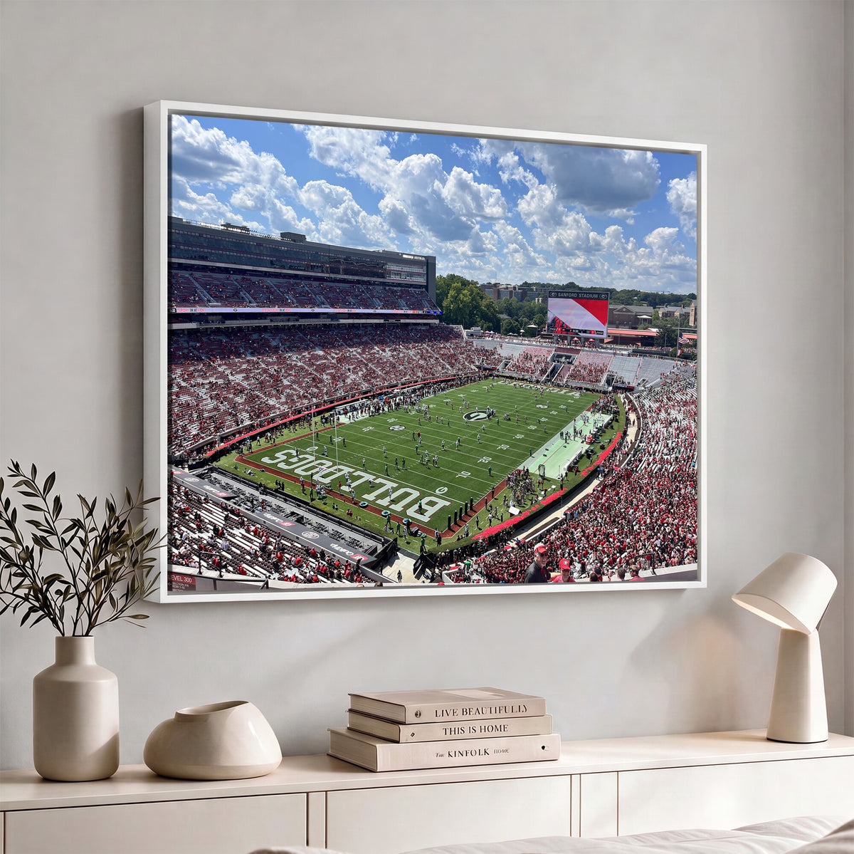 10665453-MGV-CV-36X24 - Georgia Bulldogs Stadium Wall Art Canvas Print, Sanford, Framed and Ready to Hang