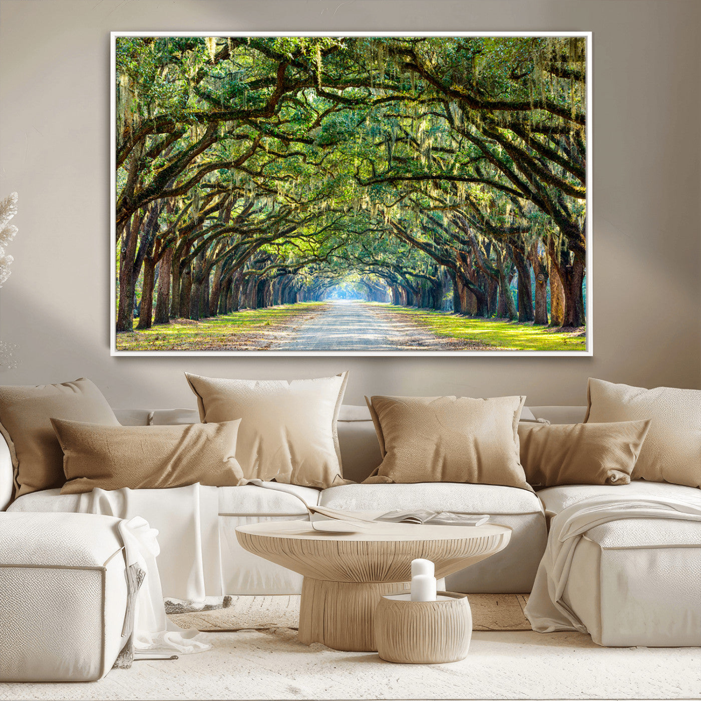 MGV-FC-36X24 - Wormsloe State Plantation Driveway Wall Art Canvas Print