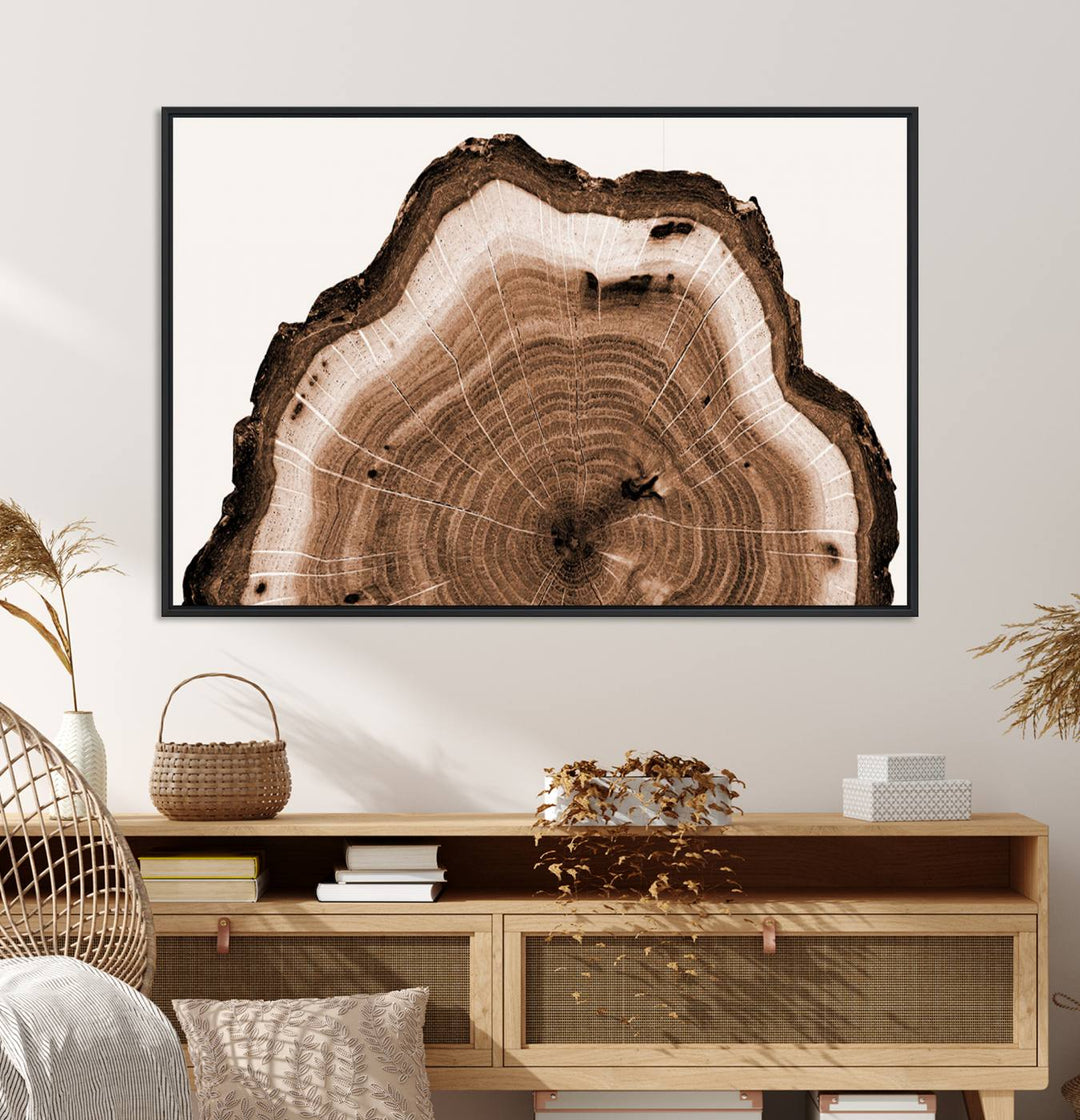 Close-up of the Rustic Wood Rings Wall Art featuring detailed tree rings and natural texture on a plain white background.