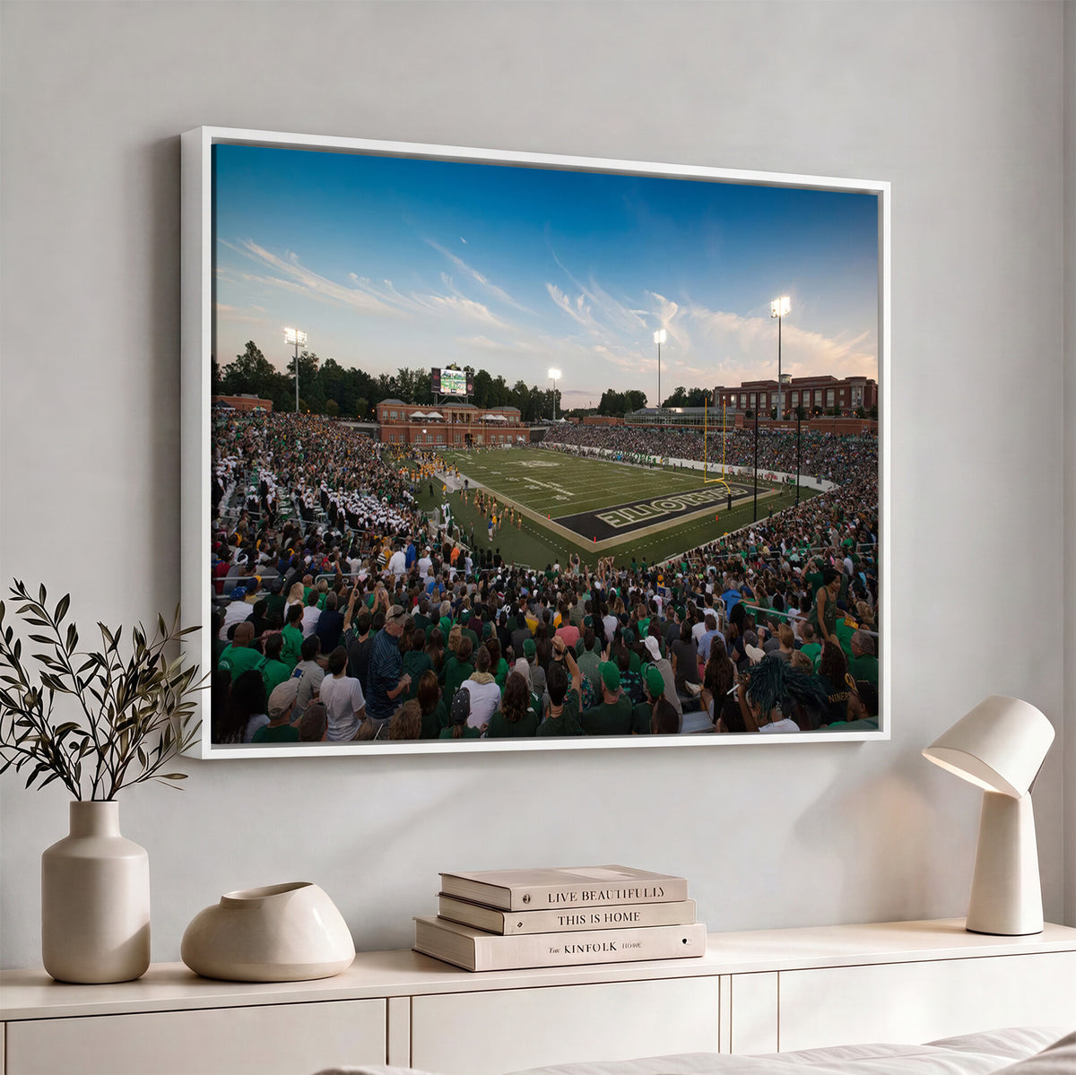 12290-MGV-CV-36X24 - University of Charlotte 49ers Football Team Print - Charlotte Jerry Richardson Stadium Wall Art