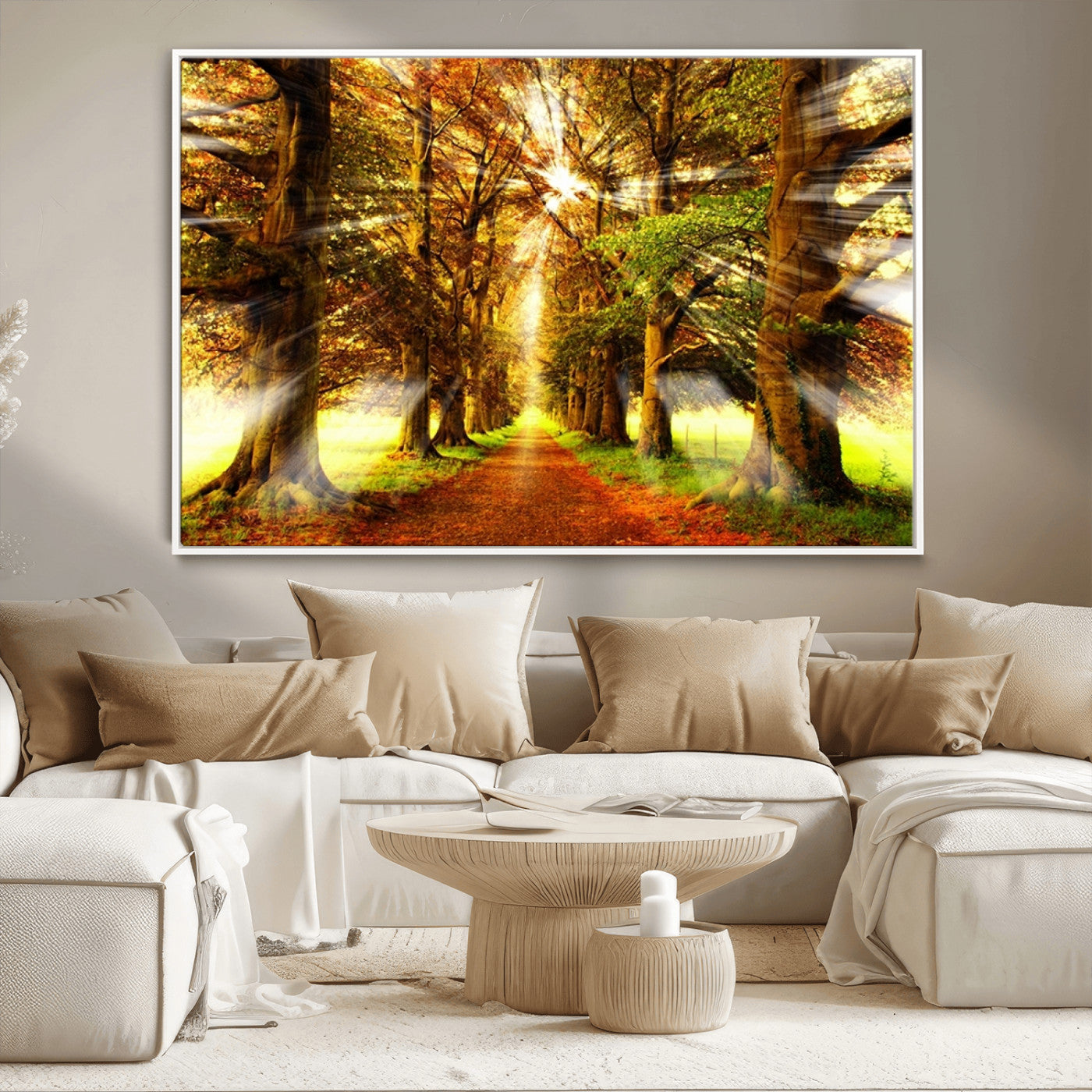 -Sunshine in Forest and Trees Wall Art Canvas Print