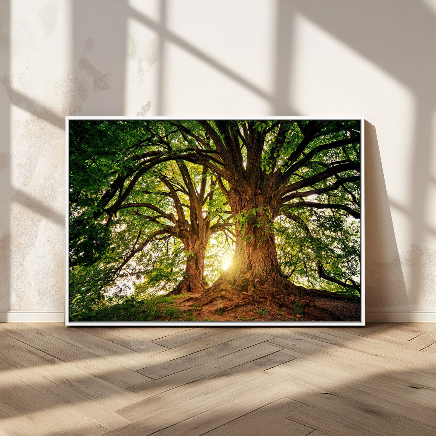 MGV-FC-36X24 - Majestic Ancient Tree Wall Art, Nature-Inspired Canvas Print, Woodland Art, Tree of Life Artwork, Sunlit Forest, Giclee Nature Print
