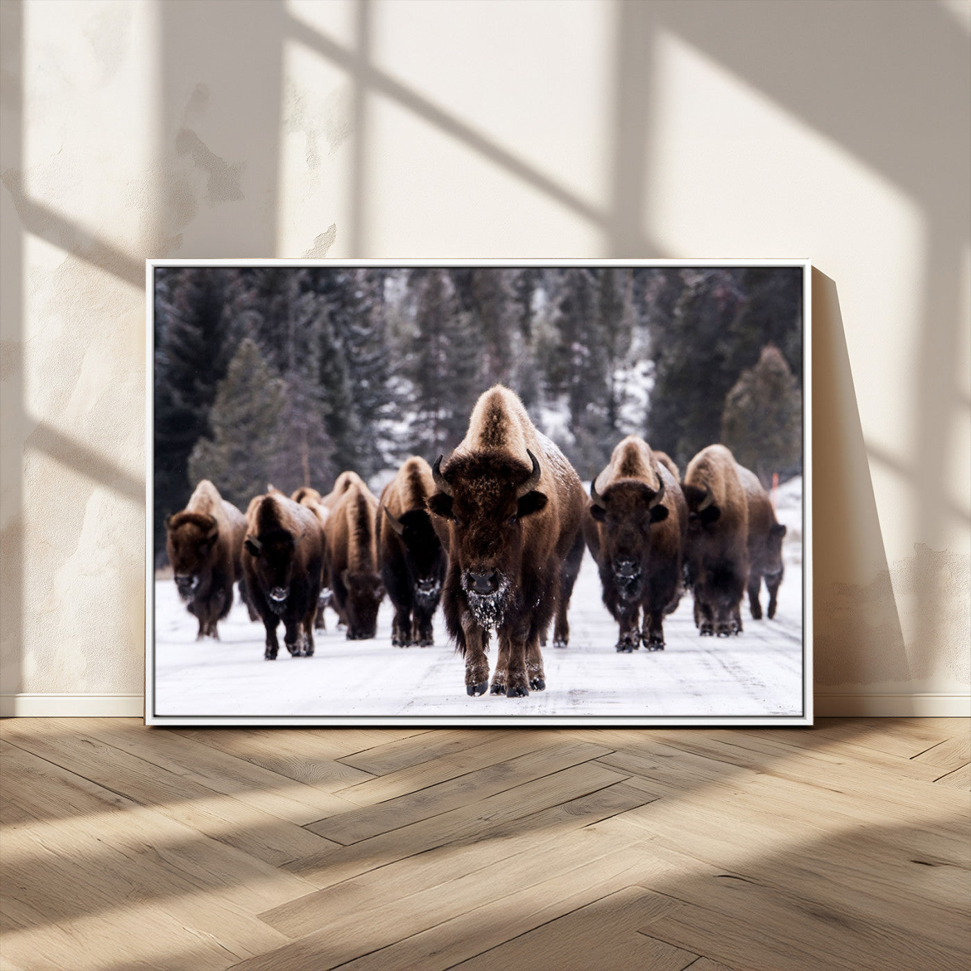 MGV-FC-36X24 - Bison Wall Art Canvas Print- Bison Herd Canvas Wall Art – Majestic Wildlife Photography – Framed and Ready to Hang Nature-Inspired Art - Buffalo Wall Art Print