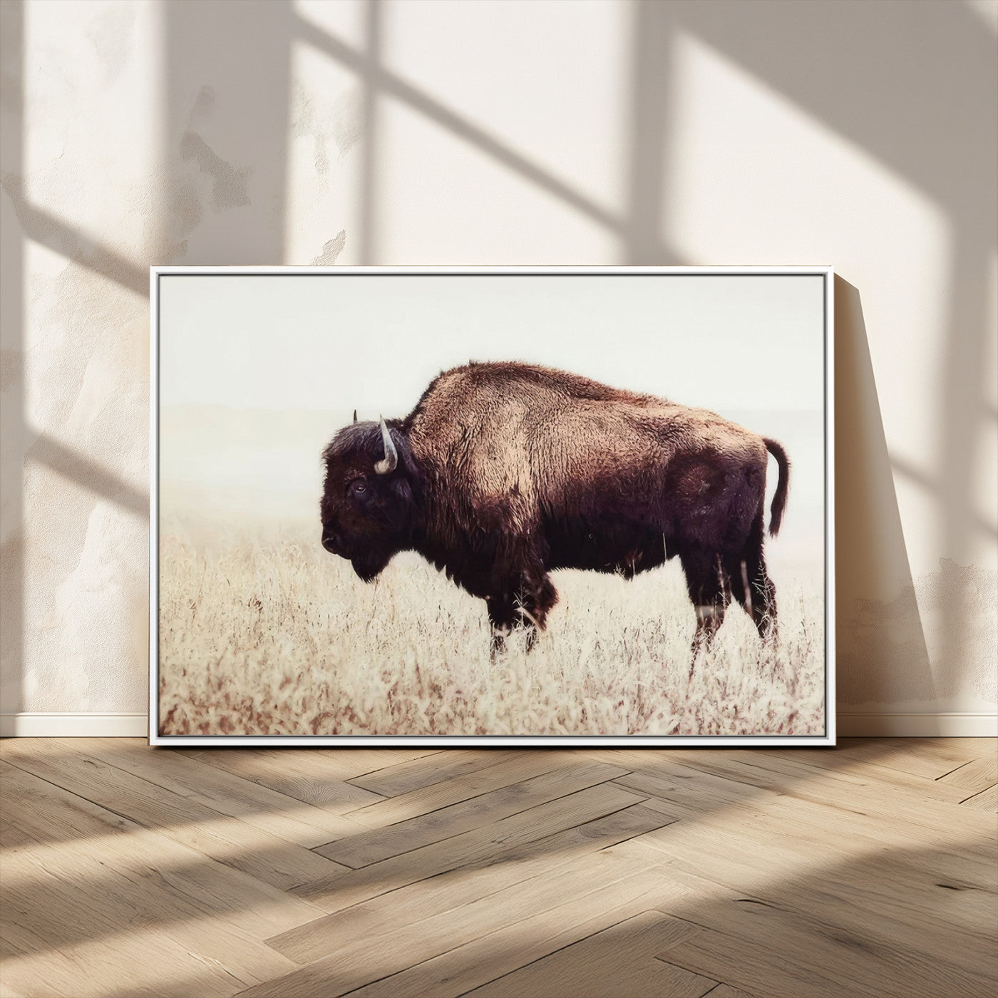 MGV-FC-36X24 - Bison in Field Wall Art Canvas Print For Farmhouse Barn Decor